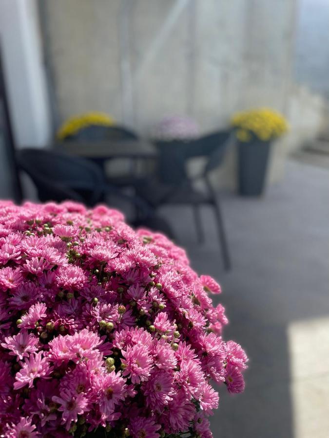 Residence 33 Saraybosna Dış mekan fotoğraf