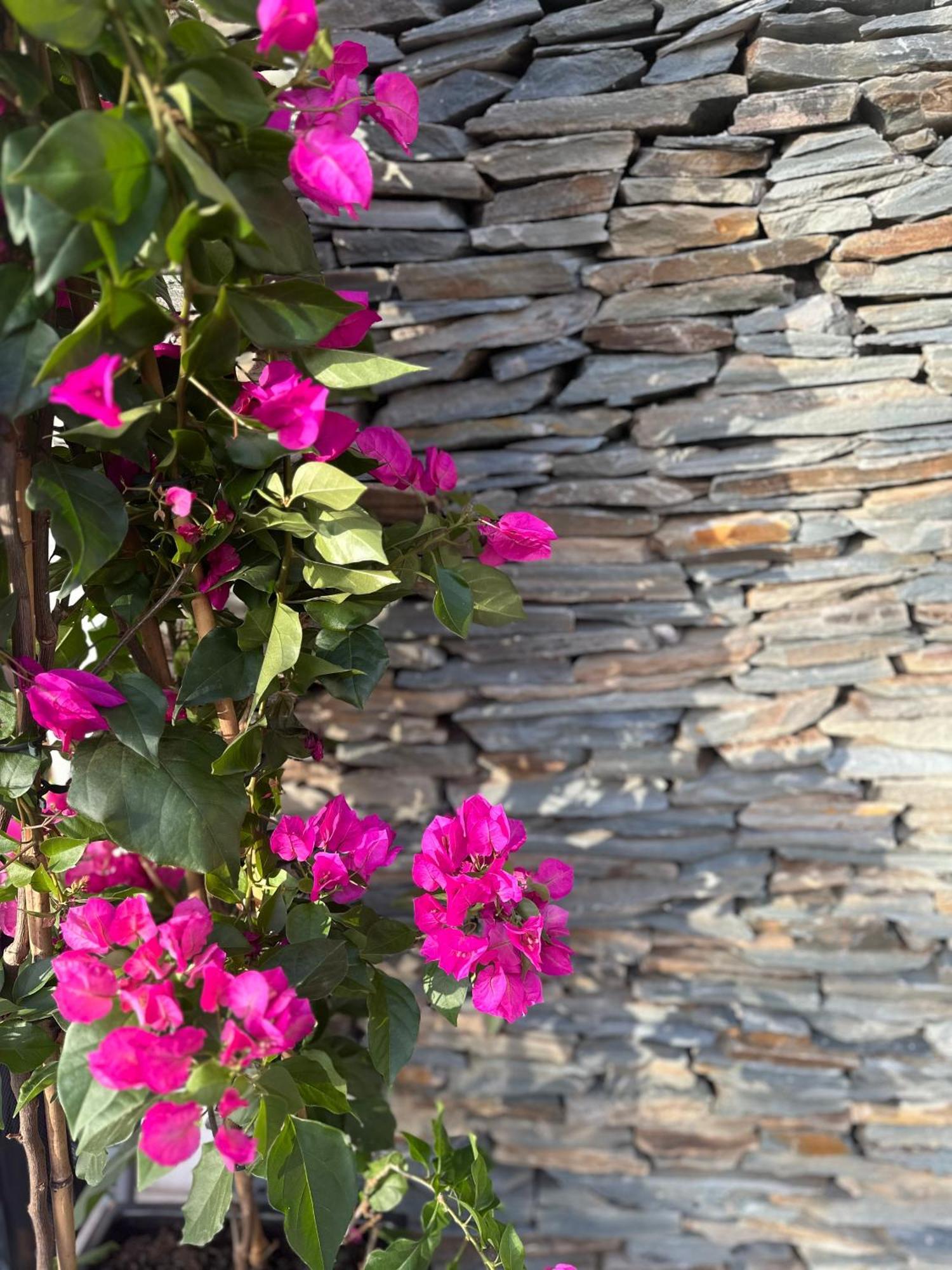 Residence 33 Saraybosna Dış mekan fotoğraf